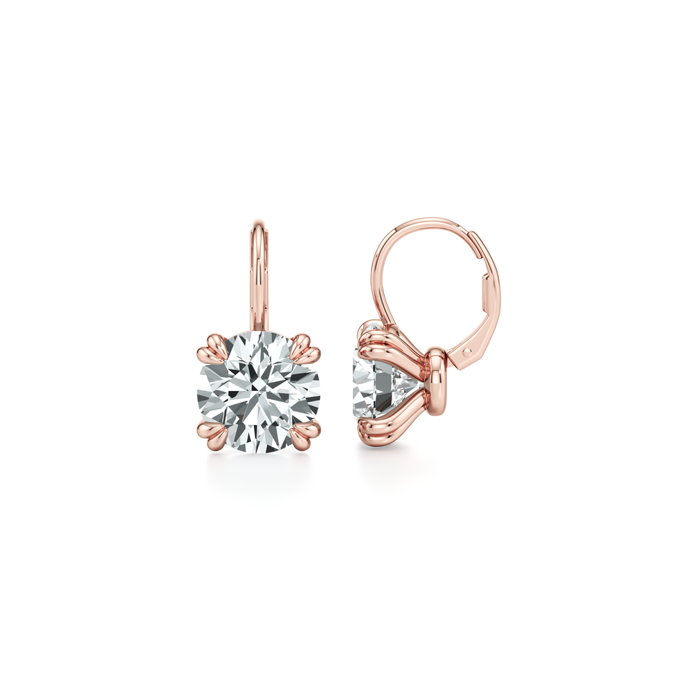 Elle Round Brilliant Leverback Earrings image 44