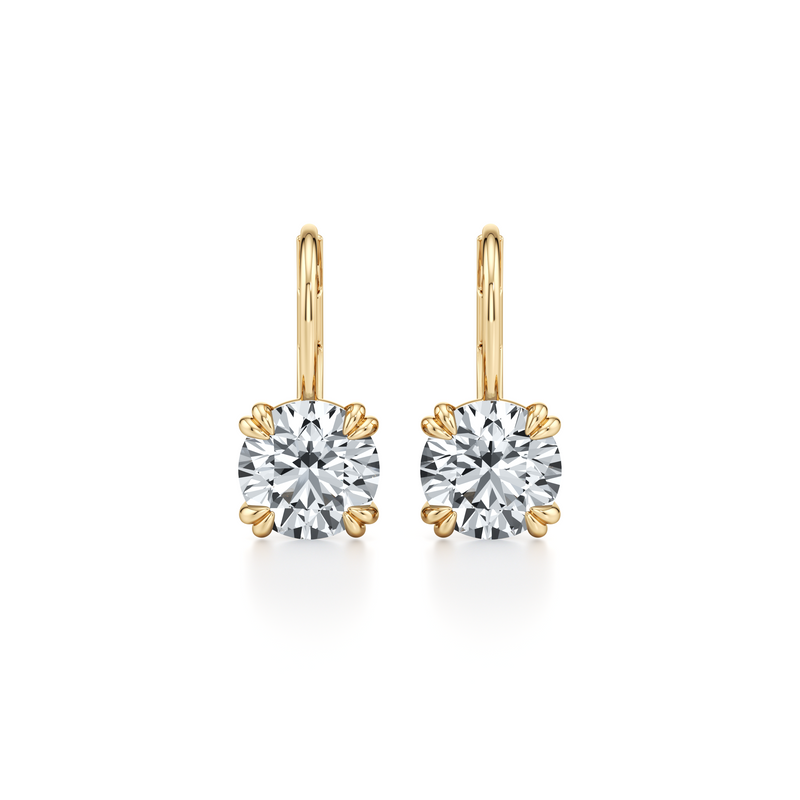 Elle Round Brilliant Leverback Earrings image 16