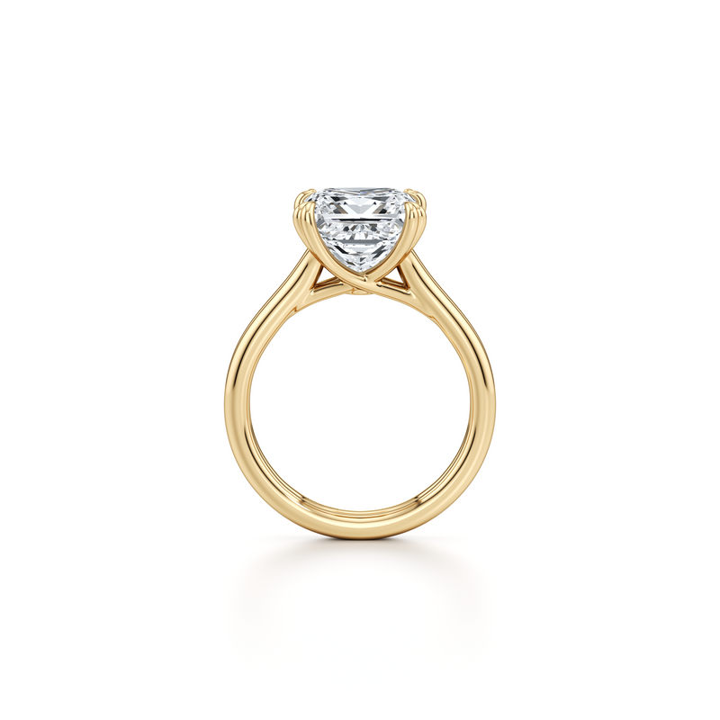 Elle Solitaire Lab Diamond Engagement Ring image 149